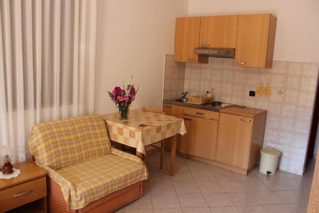 Apartments Manuel Novigrad Istria 外观 照片
